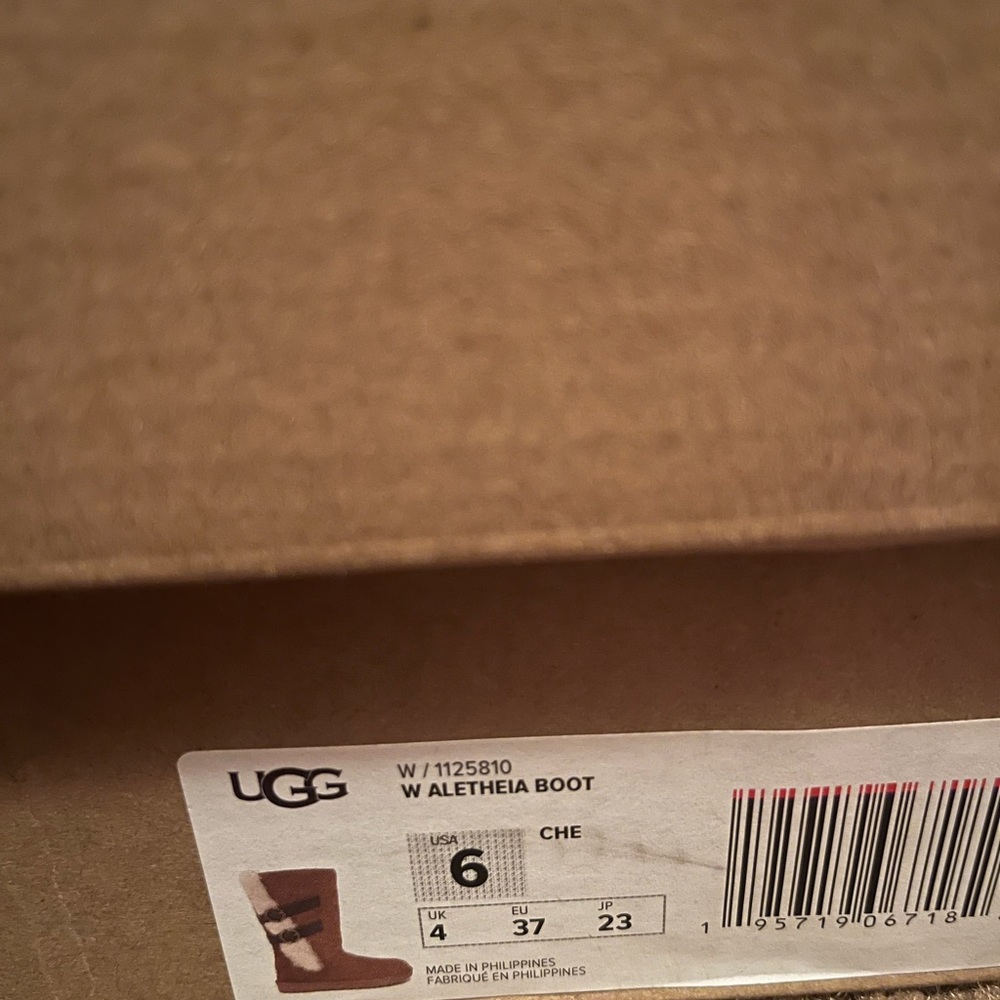 Ugg boots Alethia Chestnut Tall fur